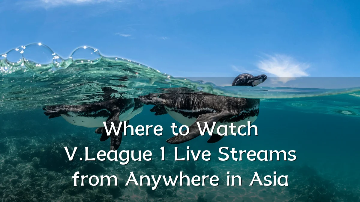 Where to Watch V.League 1 Live Streams from Anywhere in Asia