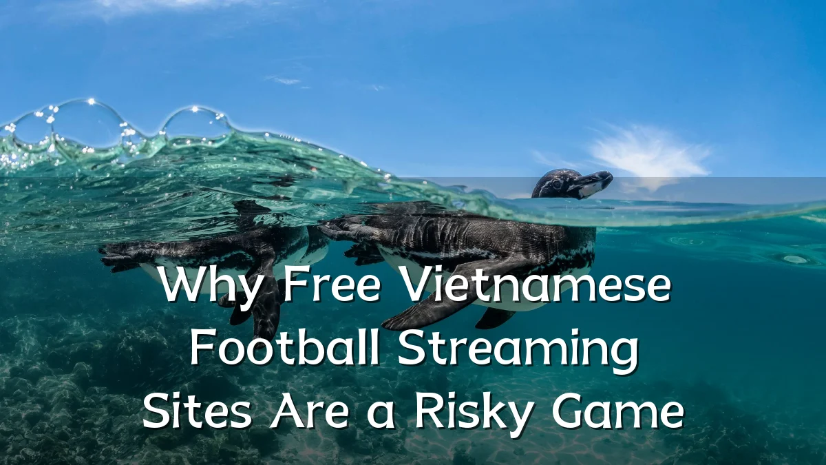 Why Free Vietnamese Football Streaming Sites Are a Risky Game