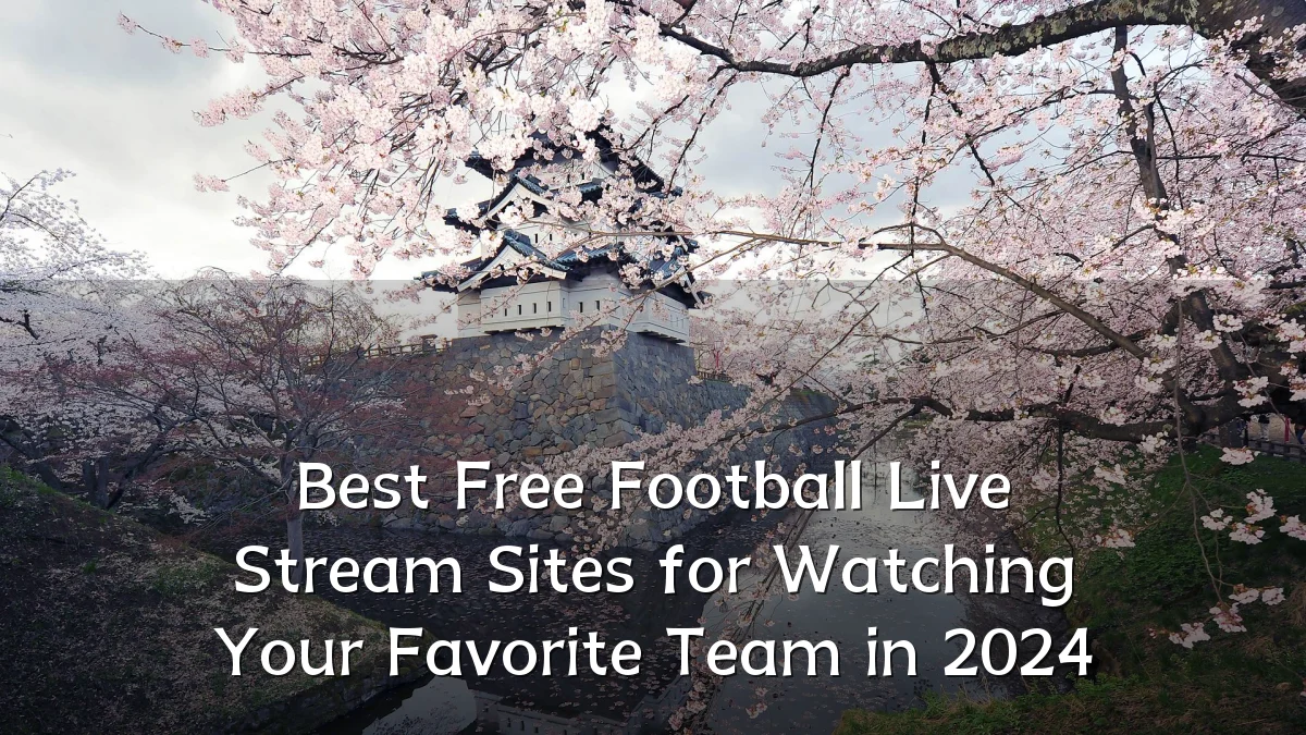 Best Free Football Live Stream Sites for Watching Your Favorite Team in 2024