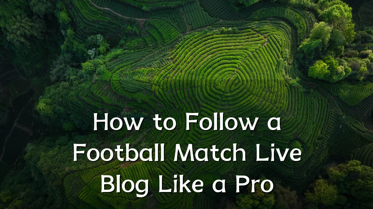 How to Follow a Football Match Live Blog Like a Pro