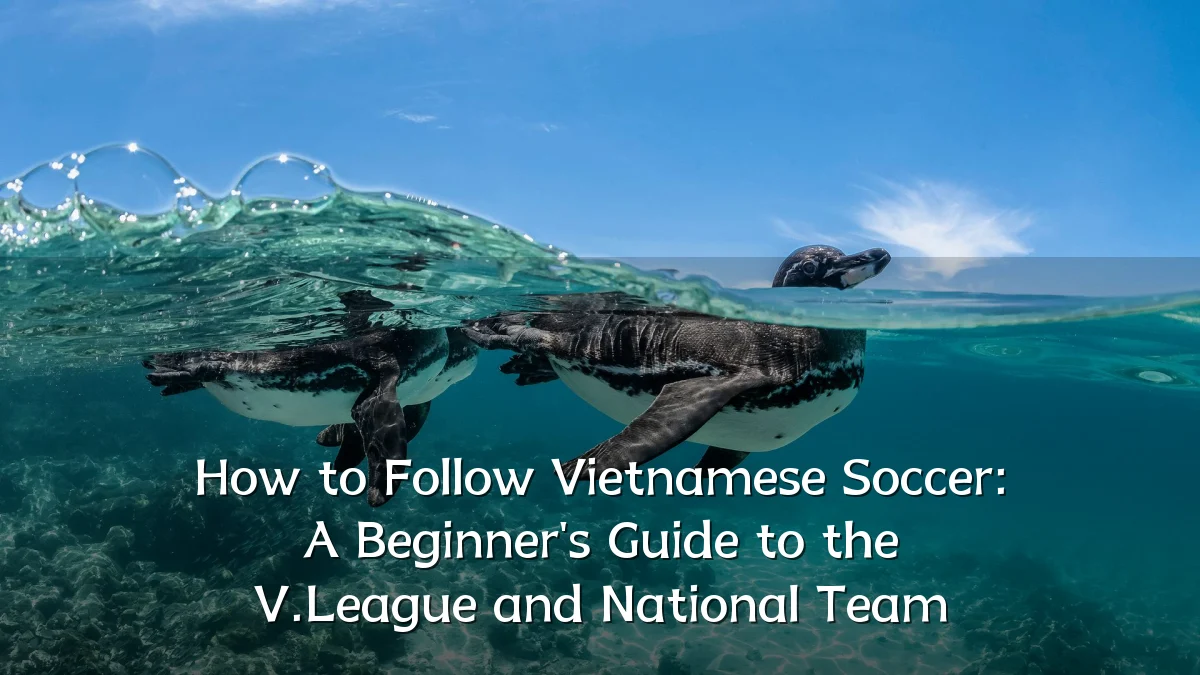 How to Follow Vietnamese Soccer: A Beginner's Guide to the V.League and National Team