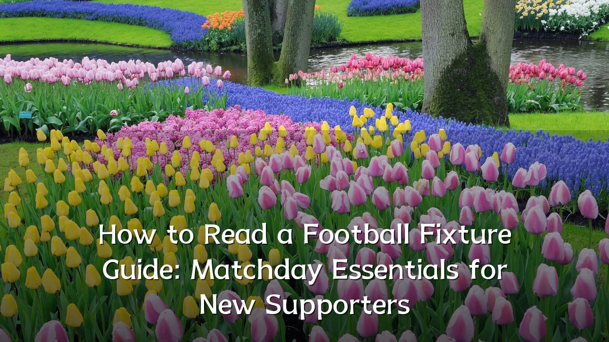 How to Read a Football Fixture Guide: Matchday Essentials for New Supporters