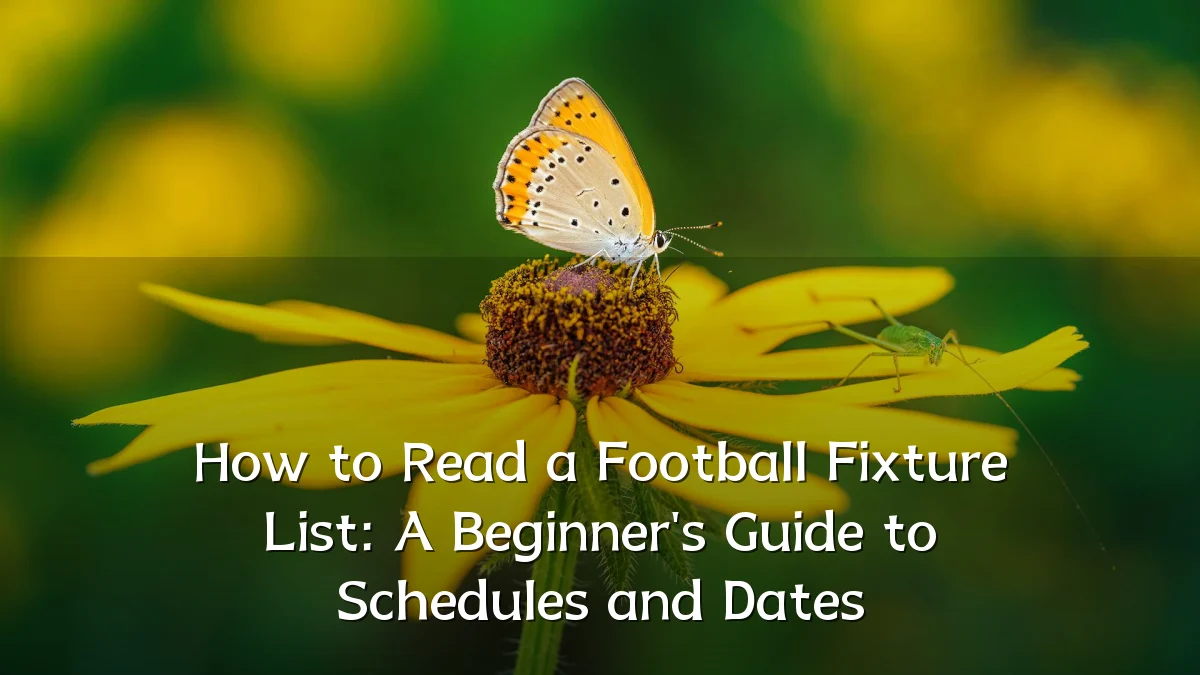 How to Read a Football Fixture List: A Beginner's Guide to Schedules and Dates