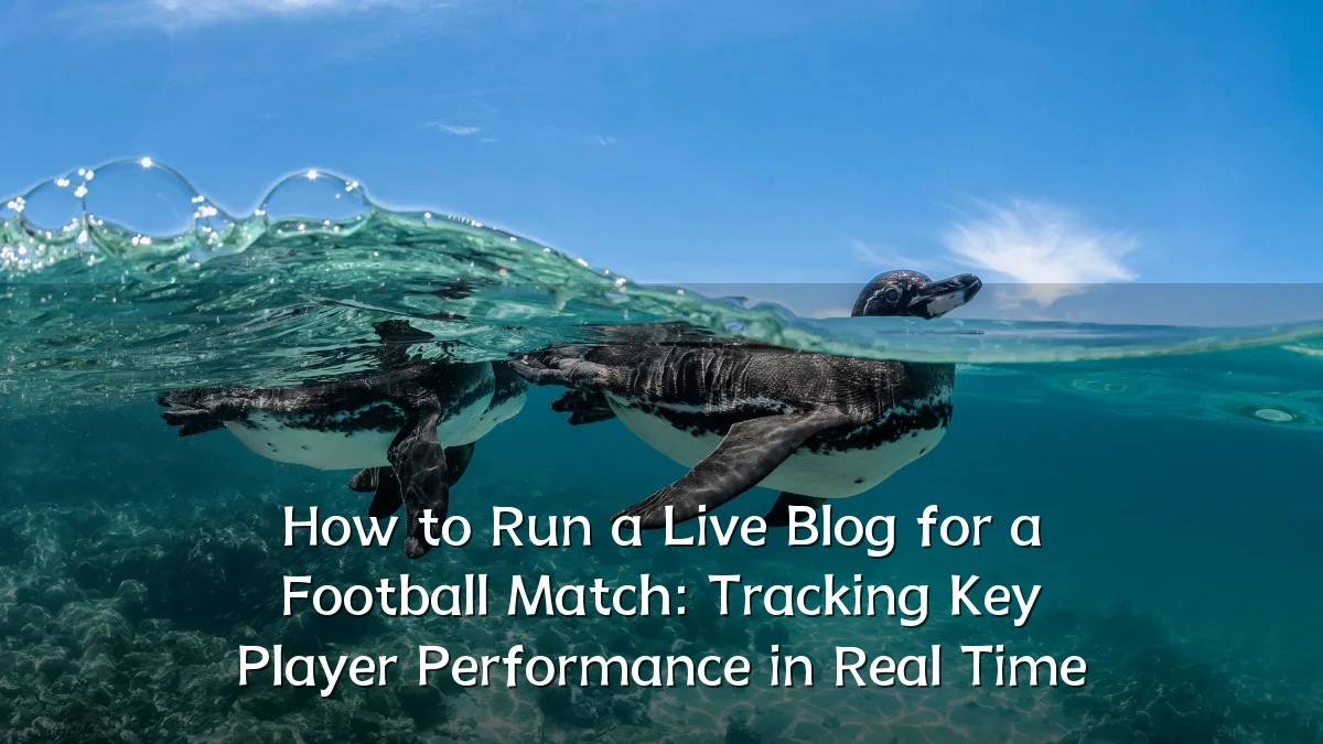 How to Run a Live Blog for a Football Match: Tracking Key Player Performance in Real Time