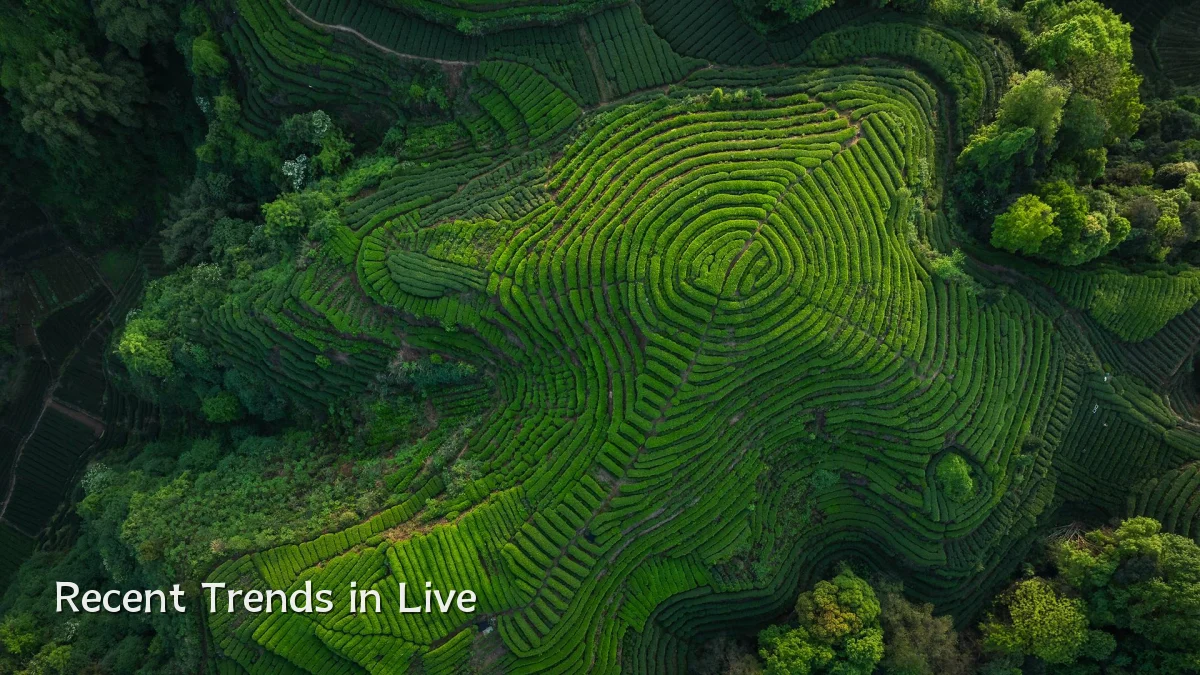 Recent Trends in Live