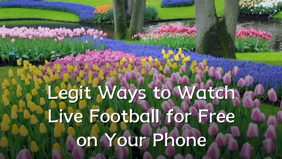 Legit Ways to Watch Live Football for Free on Your Phone