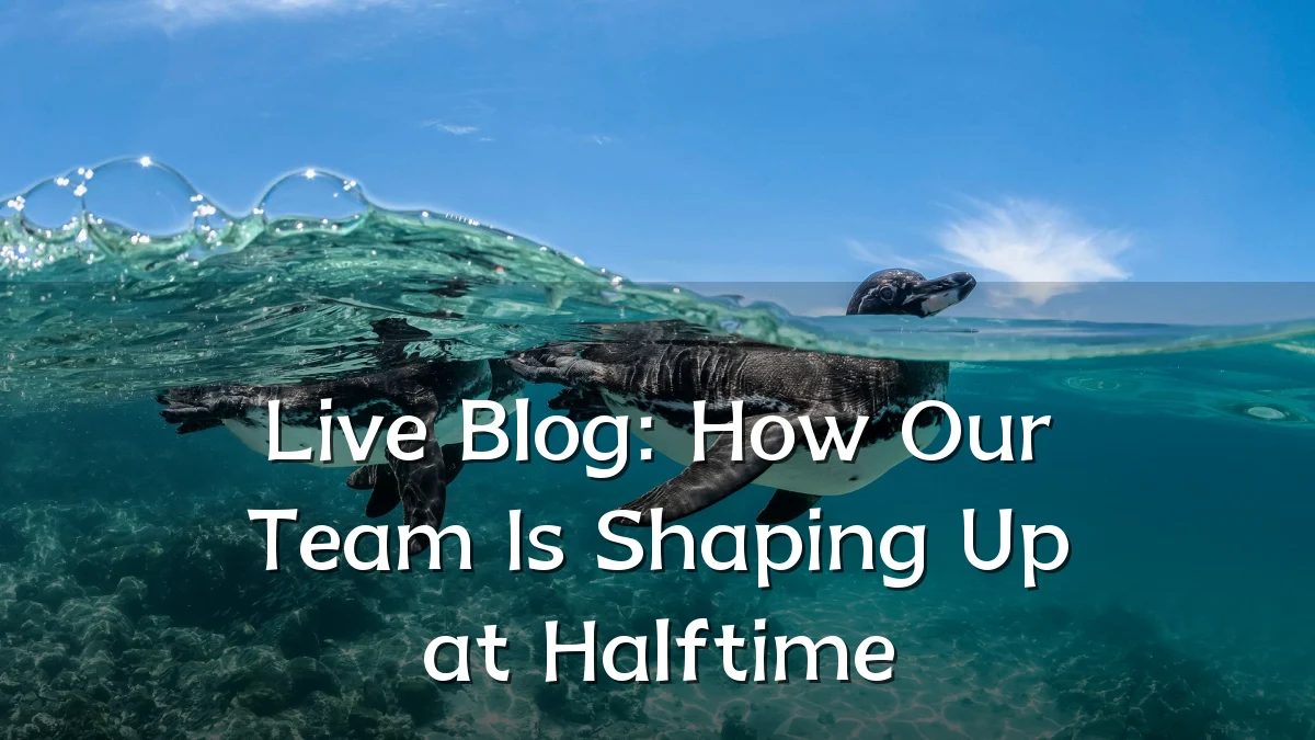 Live Blog: How Our Team Is Shaping Up at Halftime