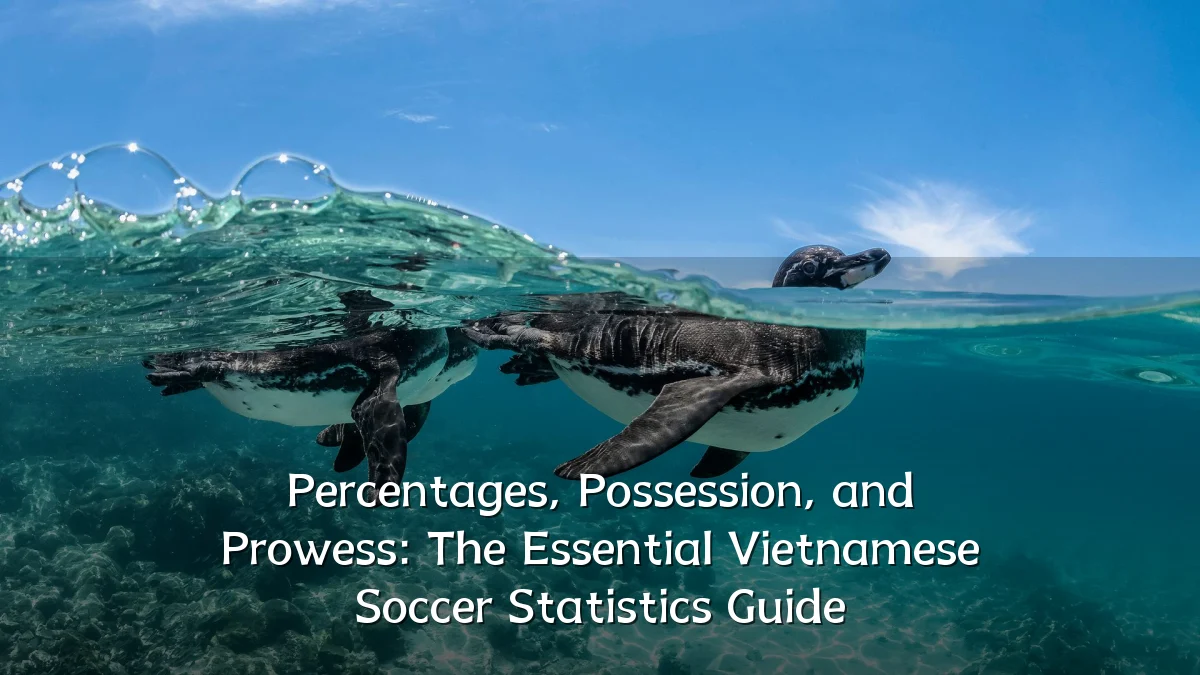 Percentages, Possession, and Prowess: The Essential Vietnamese Soccer Statistics Guide