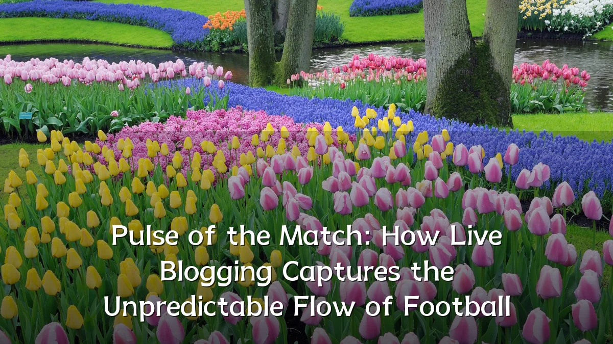 Pulse of the Match: How Live Blogging Captures the Unpredictable Flow of Football