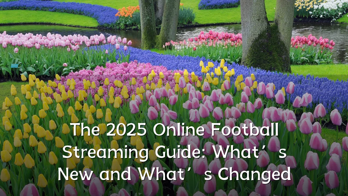 The 2025 Online Football Streaming Guide: What’s New and What’s Changed