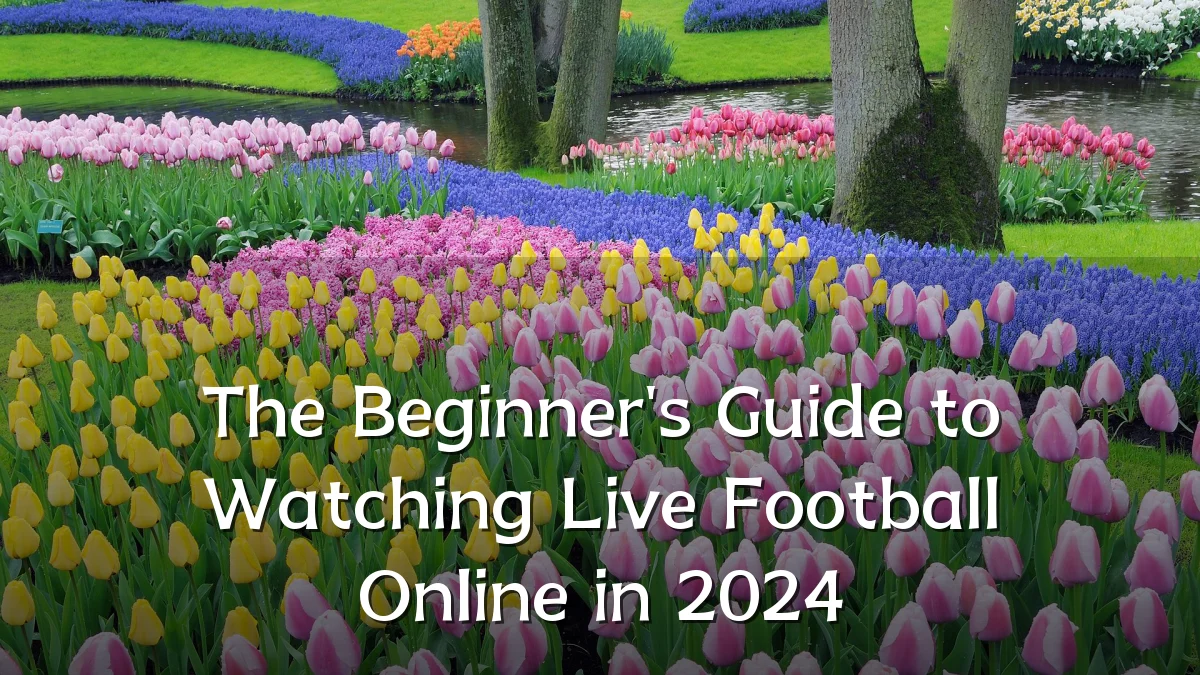 The Beginner's Guide to Watching Live Football Online in 2024