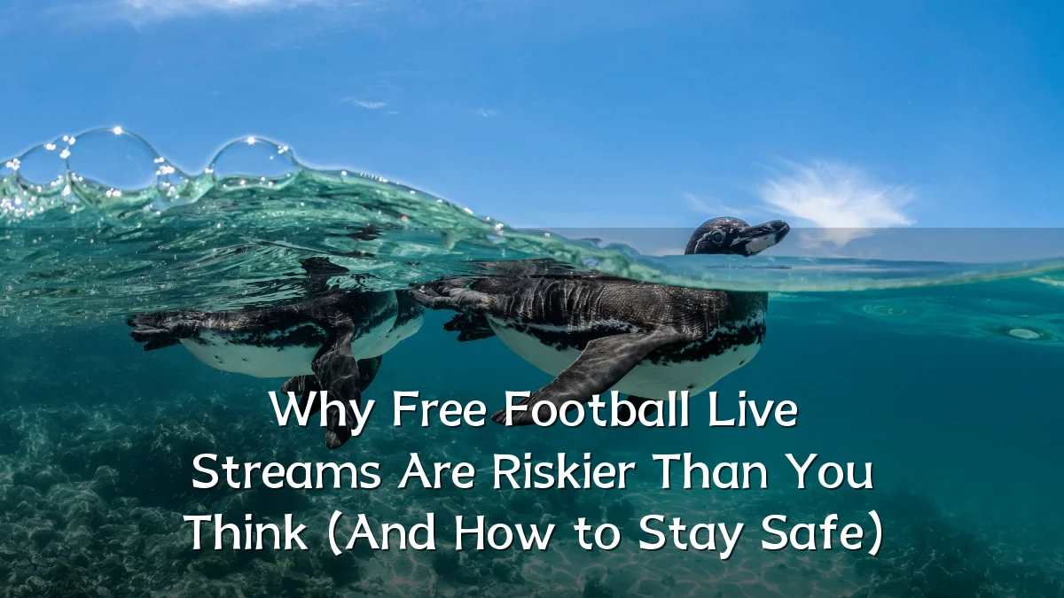 Why Free Football Live Streams Are Riskier Than You Think (And How to Stay Safe)